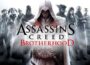 Assassin's Creed Brotherhood Banner