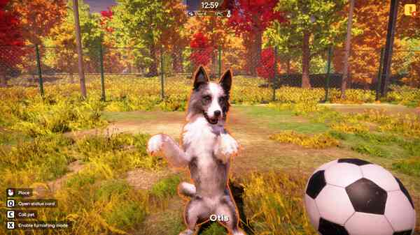 Animal Shelter 2 screenshots getfreegames